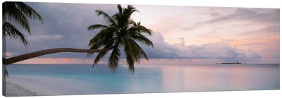 Indian Ocean Maldives Canvas Art Print - Palm Tree Art