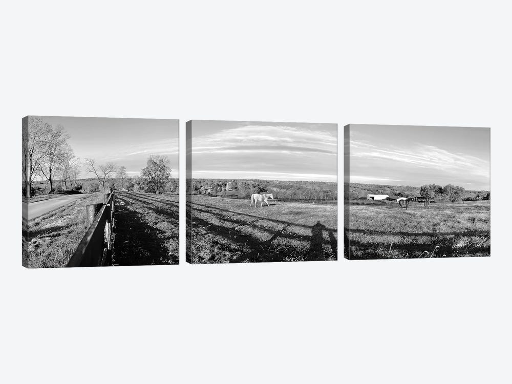 Horses Grazing On Paddock At Horse Farm, Lexington, Kentucky, USA by Panoramic Images 3-piece Canvas Art