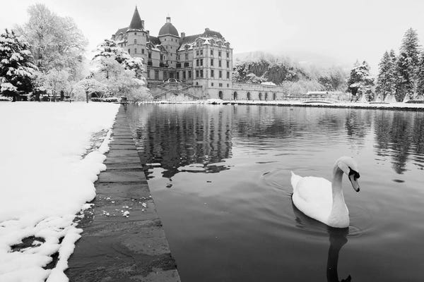 Castles & Palaces: Lake In Front Of A Chateau, Chateau de Vizille, Swan lake, Vizille, France by Panoramic Images