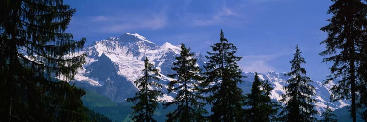 Snowy Winter Landscape, Bernese Oberland, Bern, Switzerland