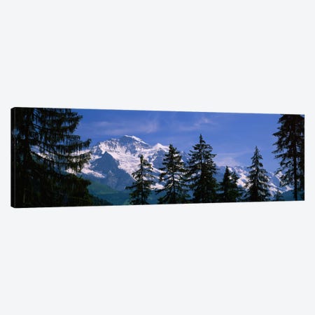 Snowy Winter Landscape, Bernese Oberland, Bern, Switzerland Canvas Print #PIM1619} by Panoramic Images Canvas Wall Art