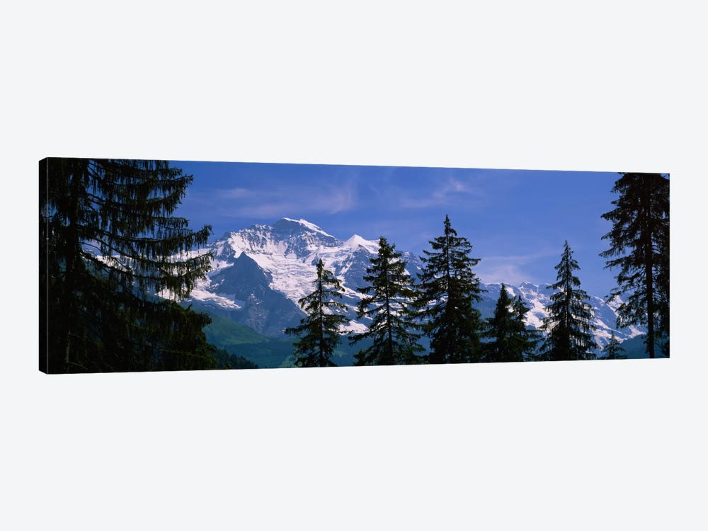 Snowy Winter Landscape, Bernese Oberland, Bern, Switzerland by Panoramic Images 1-piece Canvas Wall Art
