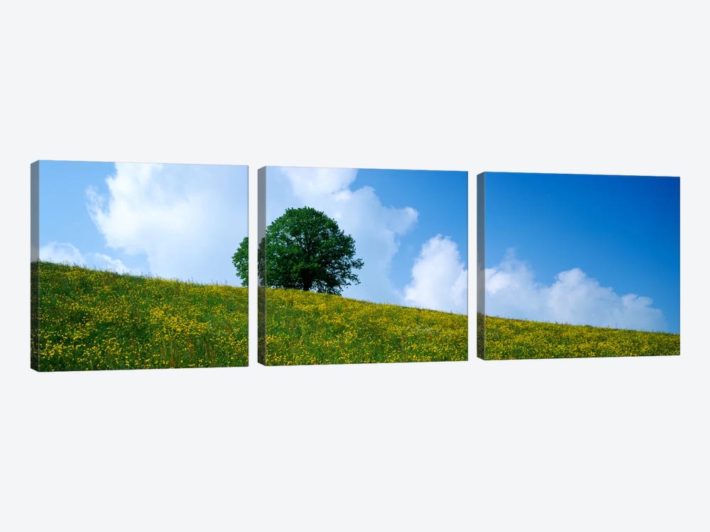 Green Hill w/ flowers & tree Canton Zug Switzerland by Panoramic Images 3-piece Canvas Art
