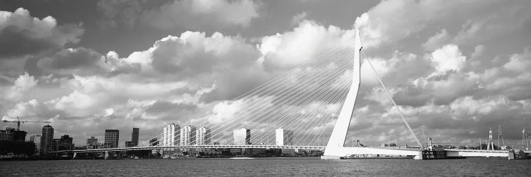 Netherlands, Holland, Rotterdam, Erasmus Bridge