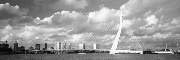 Rotterdam: Netherlands, Holland, Rotterdam, Erasmus Bridge by Panoramic Images