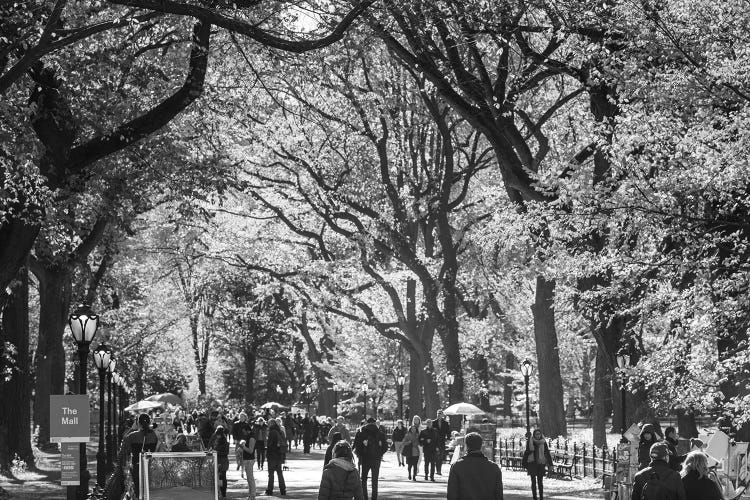 People Walking In A Park, Central Park Mall, Central Park, Manhattan, New York City, New York State, USA