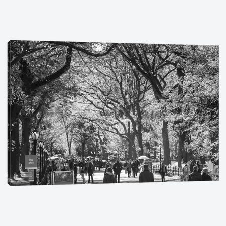People Walking In A Park, Central Park Mall, Central Park, Manhattan, New York City, New York State, USA Canvas Print #PIM16209} by Panoramic Images Canvas Artwork