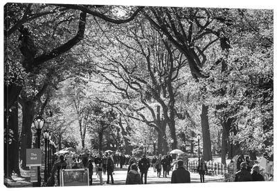 People Walking In A Park, Central Park Mall, Central Park, Manhattan, New York City, New York State, USA Canvas Art Print - Central Park