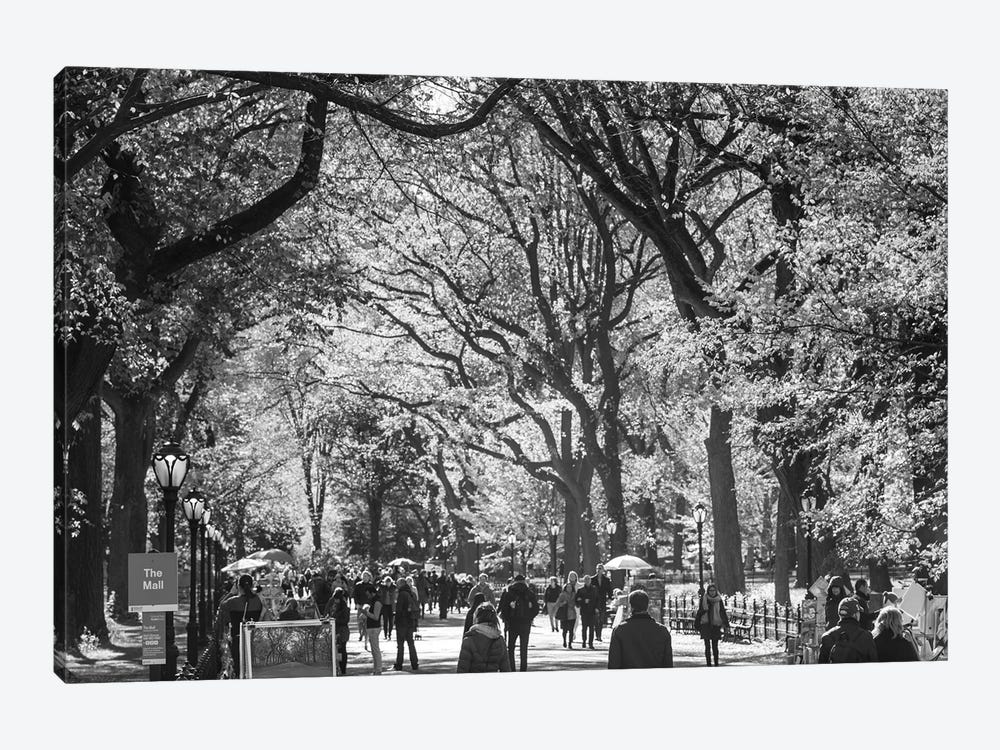 People Walking In A Park, Central Park Mall, Central Park, Manhattan, New York City, New York State, USA by Panoramic Images 1-piece Canvas Artwork