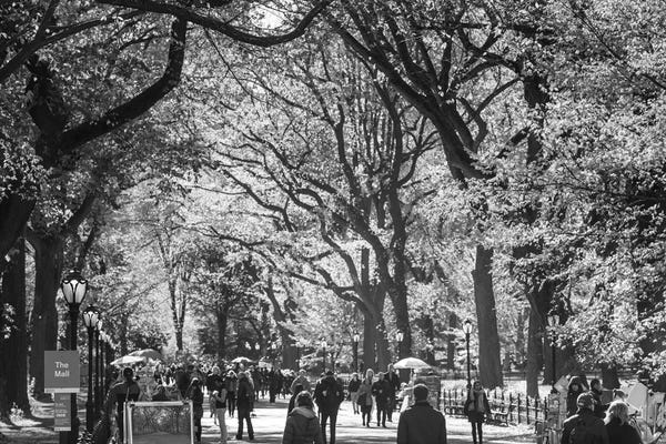 Manhattan: People Walking In A Park, Central Park Mall, Central Park, Manhattan, New York City, New York State, USA by Panoramic Images