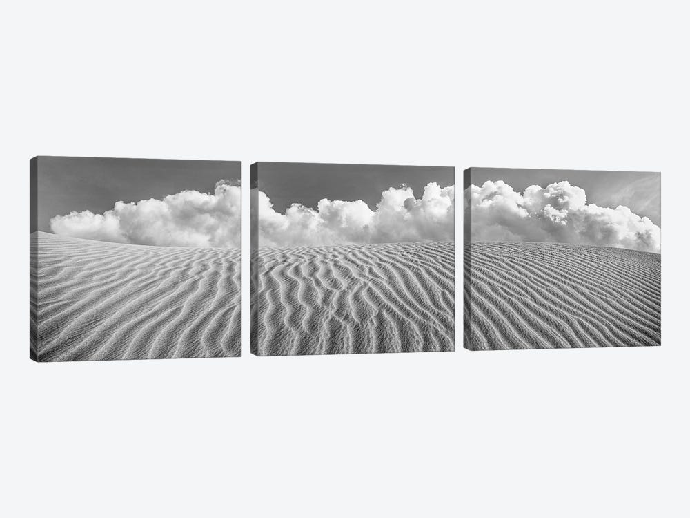Rippled Pattern On Sand Dune In Desert, Anza-Borrego Desert State Park, Imperial County, California, USA by Panoramic Images 3-piece Canvas Art