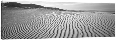 Sand Dunes In A Desert, Stovepipe Wells, Death Valley National Park, California, USA Canvas Art Print - Coastal Sand Dune Art