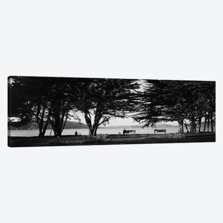 Trees In A Field, Crissy Field, San Francisco, California, USA Canvas Print #PIM16257} by Panoramic Images Canvas Art