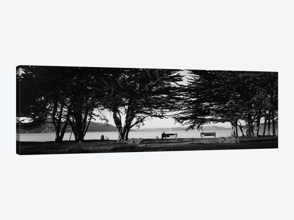 Trees In A Field, Crissy Field, San Francisco, California, USA by Panoramic Images 1-piece Canvas Art Print