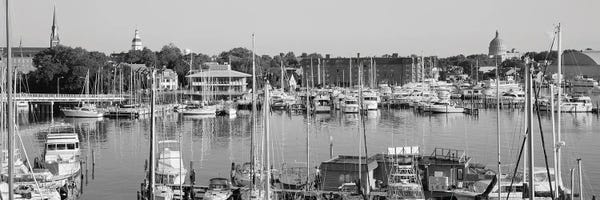 Yachts: View Of Yachts In A Bay, Annapolis MD Naval Academy And Marina, Annapolis, USA by Panoramic Images
