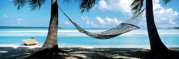 Cook Islands: Hammock Hanging On The Beach, Cook Islands by Panoramic Images