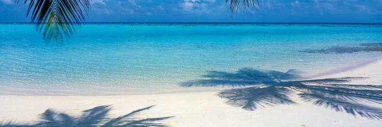 Laguna Maldives by Panoramic Images wall art