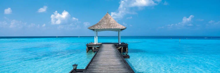 Beach & Pier The Maldives by Panoramic Images wall art