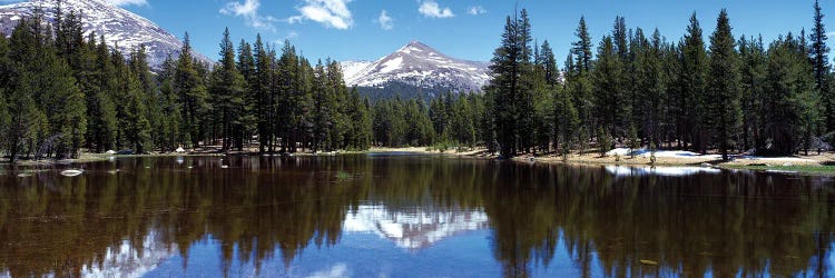 Reflection Of Mountains And Trees In Water, Yosemite National Park, California, USA