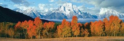 Trees In A Forest With Snowcapped Mountains, Teton Range, Oxbow Bend, Grand Teton National Park, Wyoming, USA by Panoramic Images multi panel art