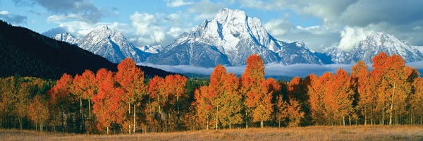 Rocky Mountains: Trees In A Forest With Snowcapped Mountains, Teton Range, Oxbow Bend, Grand Teton National Park, Wyoming, USA by Panoramic Images