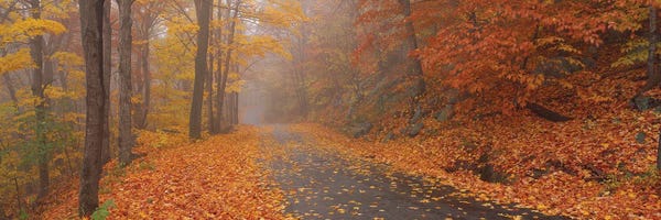 Autumn Road, Monadnock Mountain, New Hampshire, USA