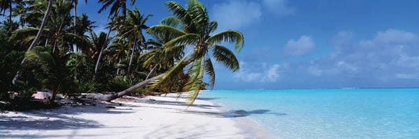 Canvas Print: Tetiaroa Atoll Tahiti French Polynesia by Panoramic Images
