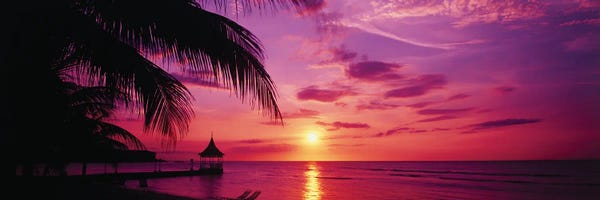 Jamaica: Sunset, Palm Trees, Beach, Water, Ocean, Montego Bay Jamaica by Panoramic Images