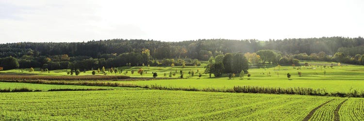 Golf Course, Bad Waltersdorf, Styria, Austria by Panoramic Images wall art