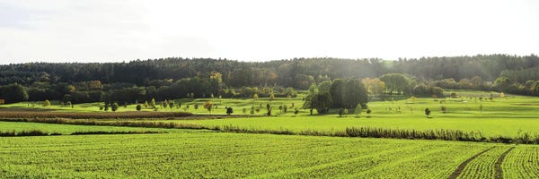 Austria: Golf Course, Bad Waltersdorf, Styria, Austria by Panoramic Images