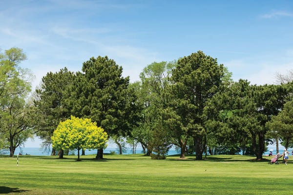 Ontario: Golf Course, Niagara On The Lake Golf Club, Lake Ontario, Ontario, Canada by Panoramic Images