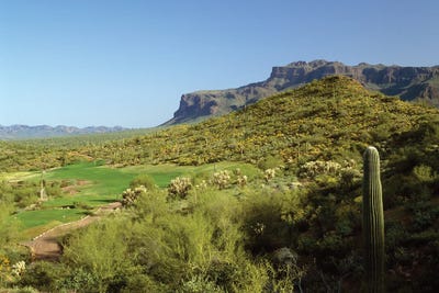 High Angle View Of A Golf Course, Gold Camp, Pinal County, Arizona, USA by Panoramic Images framed canvas print