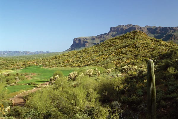 Arizona: High Angle View Of A Golf Course, Gold Camp, Pinal County, Arizona, USA by Panoramic Images