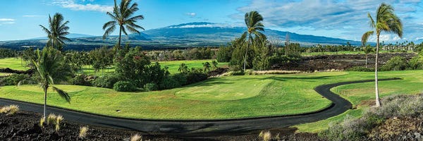 Canvas Print: Landscape Of Golf Course With Palm Trees, Waikoloa Beach, Hawaii Islands, USA by Panoramic Images