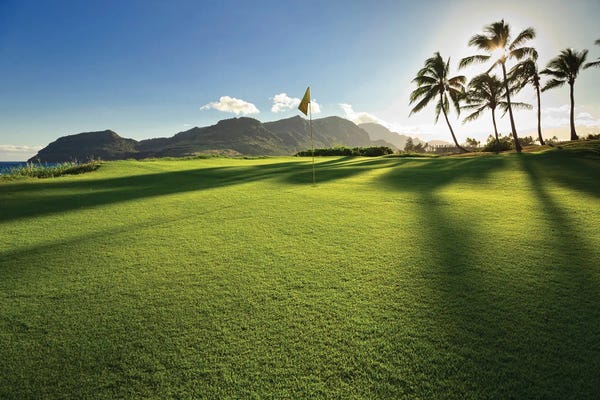 Golf: Low Angle, Hole 13, Kauai Lagoons, Kauai, Hawaii, USA by Panoramic Images