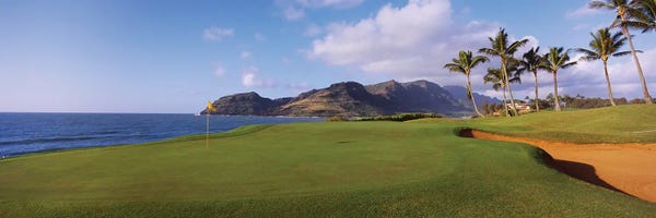 Palm Trees At Seaside II, Kiele Course, Number 13, Kauai Lagoons Golf Club, Lihue, Hawaii, USA