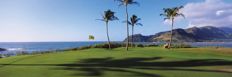 Palm Trees On A Golf Course At The Seaside, Kiele Course, Number 13, Kauai Lagoons Golf Club, Lihue, Hawaii, USA