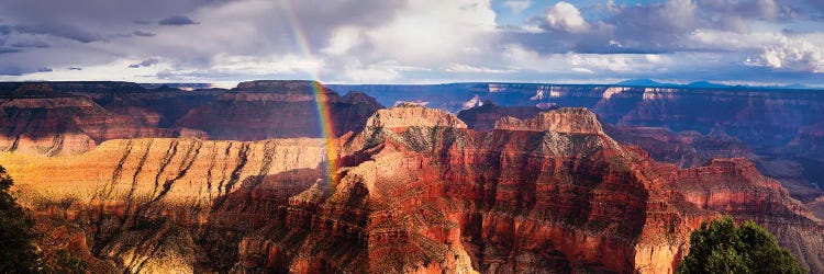 Rainbow After A Brief Storm, Grand Canyon, Taken From The North Rim. Grand Canyon National Park, Arizona, USA by Panoramic Images wall art