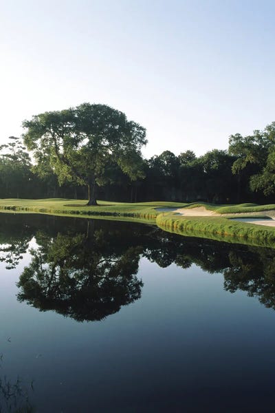 Fine Art Print: Reflection Of Trees In A Lake, Kiawah Island Golf Resort, Charleston County, South Carolina, USA by Panoramic Images