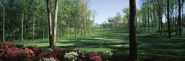 Golf Courses: Trees In A Golf Course, Augustine Golf Club, Stafford, Virginia, USA by Panoramic Images