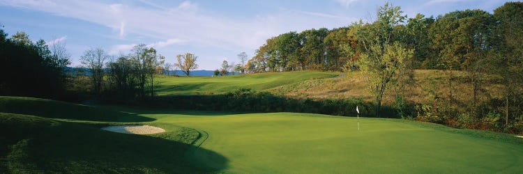 Trees On A Golf Course, Whitetail Golf Resort, Mercersburg, Pennsylvania, USA
