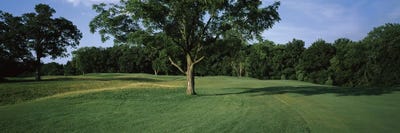 View Of A Golf Course, Piper Glen Golf Club, Springfield, Illinois, USA by Panoramic Images framed canvas print