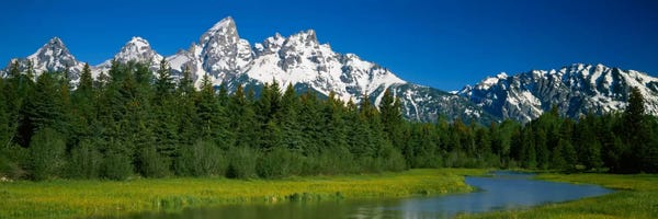 Evergreen Trees: Mountain Landscape, Teton Range, Grand Teton National Park, Wyoming, USA by Panoramic Images