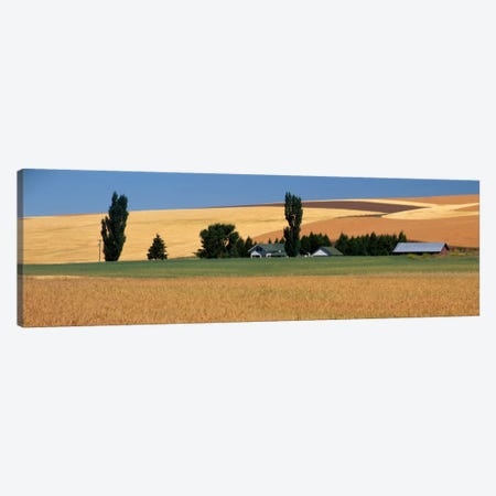 Farm, Saint John, Washington State, USA Canvas Print #PIM1746} by Panoramic Images Canvas Print