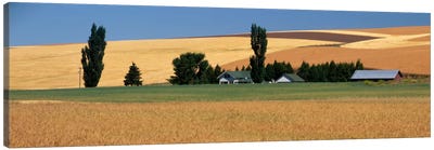 Farm, Saint John, Washington State, USA Canvas Art Print