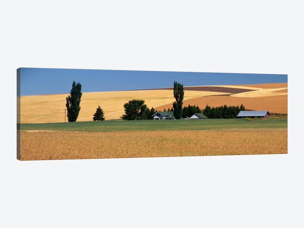 Farm, Saint John, Washington State, USA by Panoramic Images 1-piece Art Print