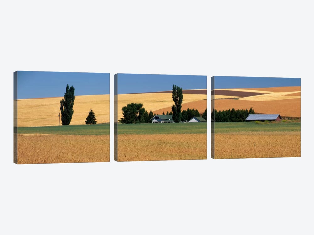 Farm, Saint John, Washington State, USA by Panoramic Images 3-piece Canvas Print