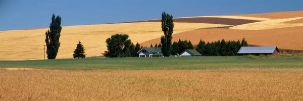Washington: Farm, Saint John, Washington State, USA by Panoramic Images