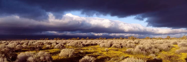 Ominous Sky, Mojave Desert, California, USA