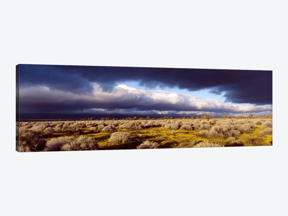 Ominous Sky, Mojave Desert, California, USA by Panoramic Images 1-piece Canvas Wall Art